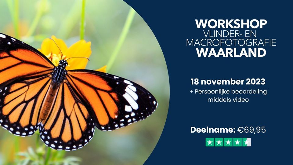 Vlinder en Macrofotografie, Vlindertuin Vlindorado