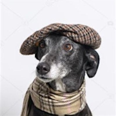 Tykes in Property logo