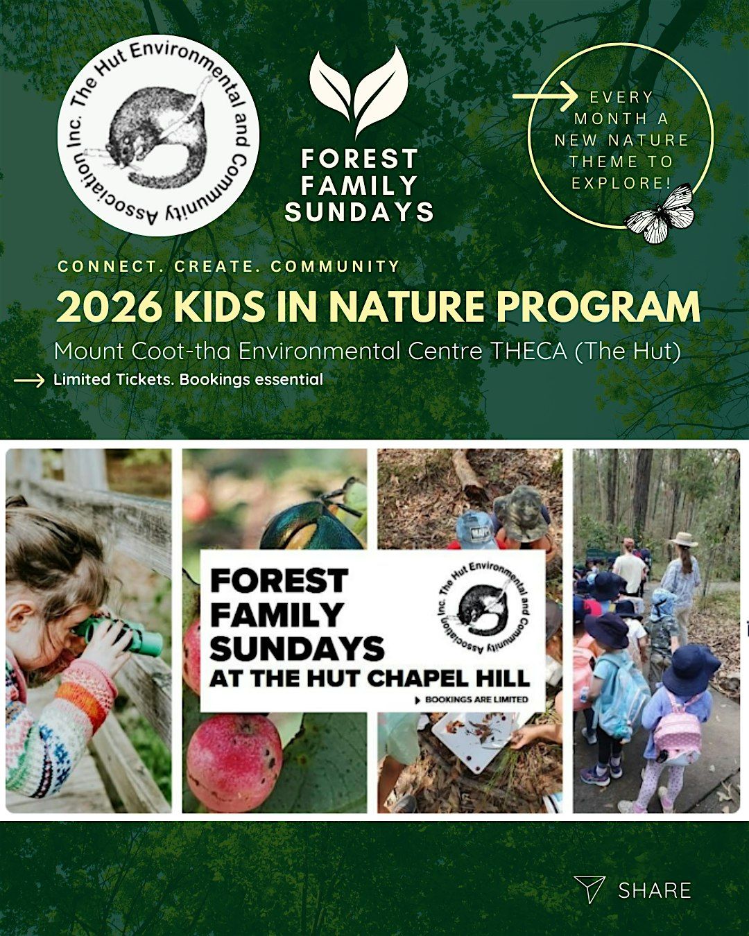 Sunday 8th February 2026 - Forest Family Sundays THECA – Chapel Hill