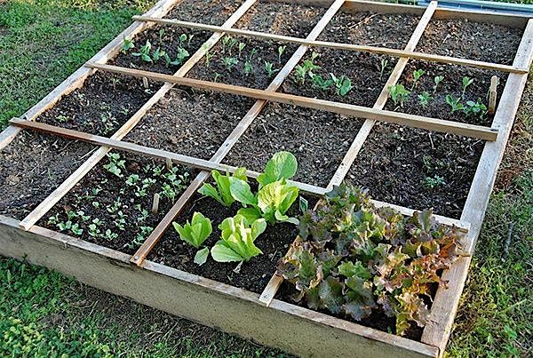 Square Foot Gardening, 14 March | Event in Sparks | AllEvents
