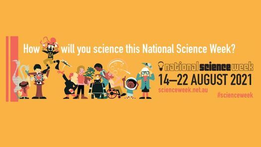 Prep 2022 Information Evening Port Douglas State School August 11 2021 Allevents In Douglas Events November 2022