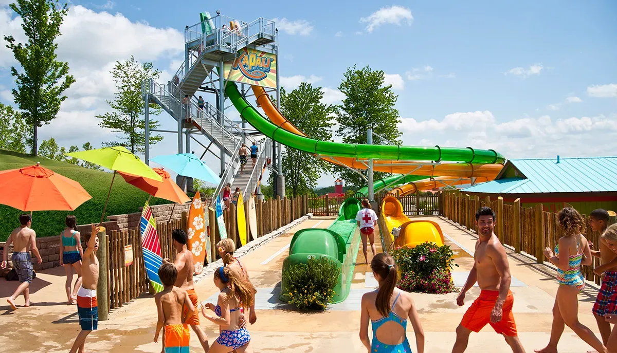 Parking David - The Musical - Branson, 9 December | Event in Branson | AllEvents