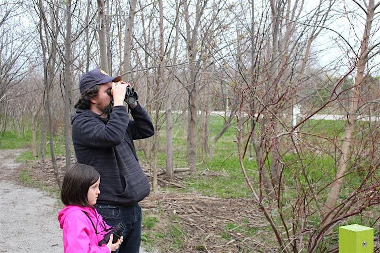 Nature Connection // Connexion Nature, 10 May | Event in Toronto | AllEvents