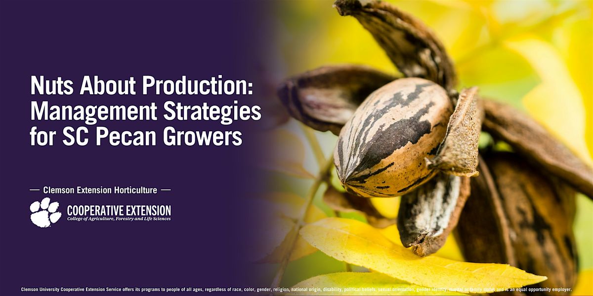 Nuts About Production: Management Strategies for SC Pecan Growers