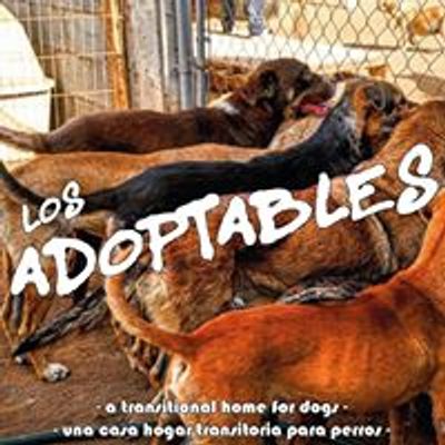 Los Adoptables A.C.