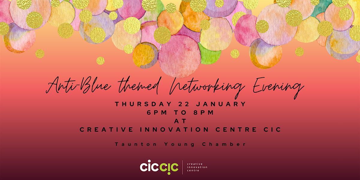 Taunton Young Chamber Anti-Blue Themed Networking Evening
