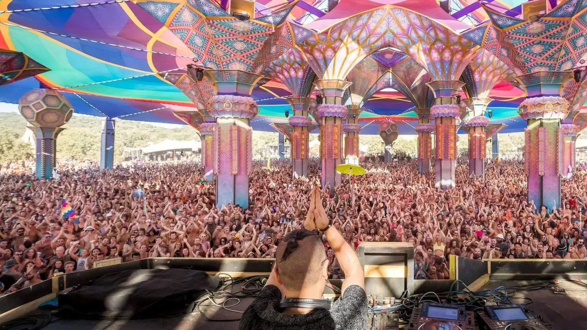 Ace Ventura in Nukutawhiti, 30 January | Event in Kaikohe | AllEvents