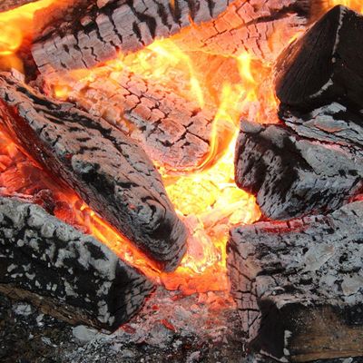 BuddhaFire