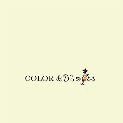 Color & Bloom Studio
