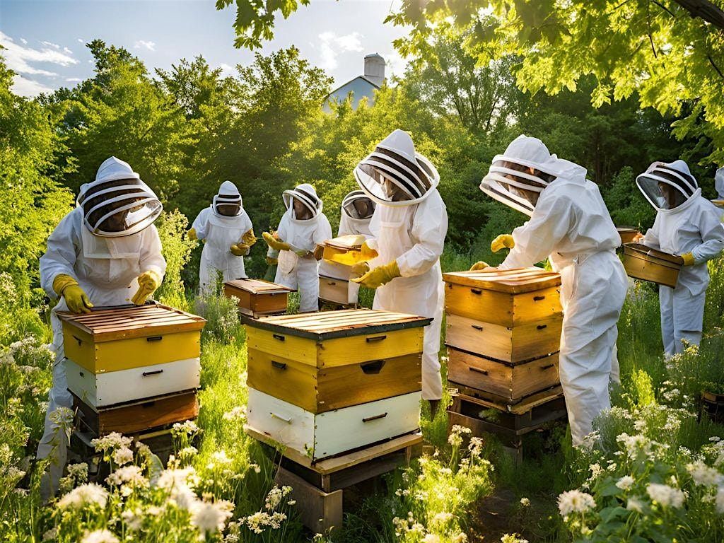 Practical Hands-on Beekeeping 101 2026, 7 March | Event in Washington | AllEvents