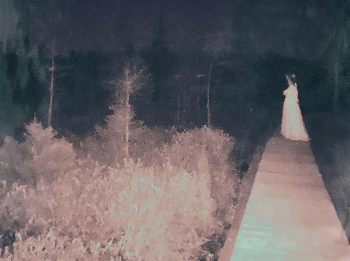 DEC 5 @ HONEY DIP with NOV. WITCH, GROWLITS & CARROT CAKE MILKSHAKE, 5 December | Event in London | AllEvents