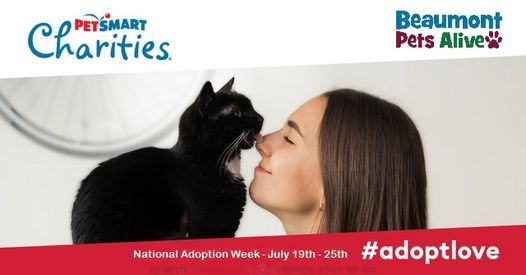 Events In Port Arthur In July 2021 Petsmart Events 2022