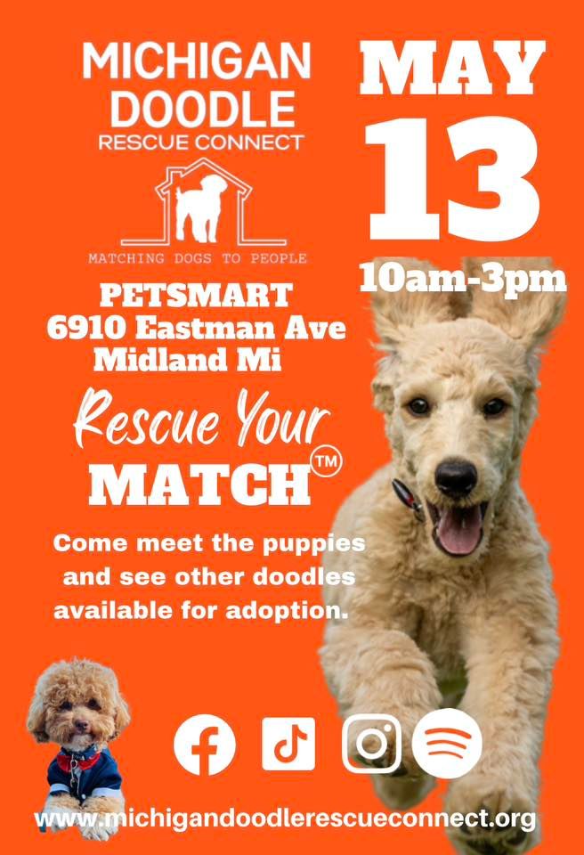 Meet Michigan Doodle Rescue Connect, PetSmart (Midland, MI), 13 May