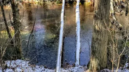 Trails to Ales! At Double Trouble State Park, 7 December | Event in New Jersey | AllEvents