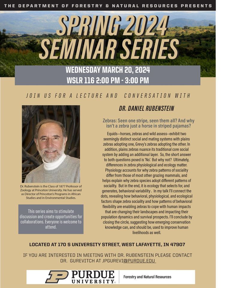 Zebras Seen one stripe, seen them all? And why isnt a zebra just a