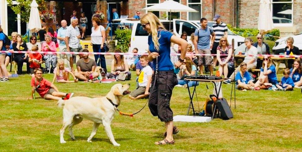 Guide Dogs Fun Day, Guide Dogs, Hillfields, Burghfield Common ...