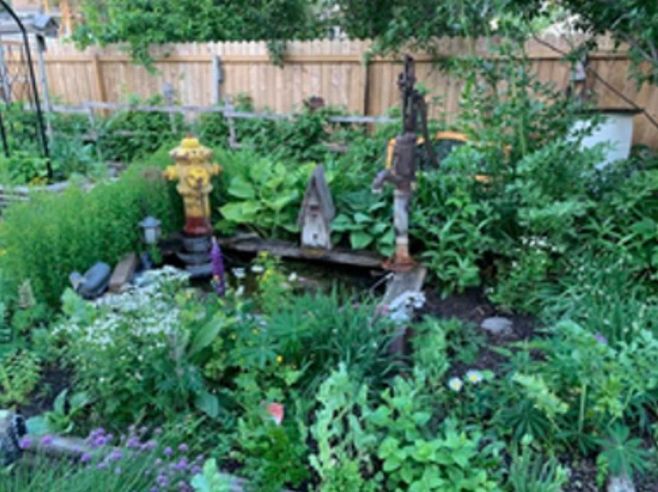 Herb Gardening & Using What You Grow, Millhurst Community League