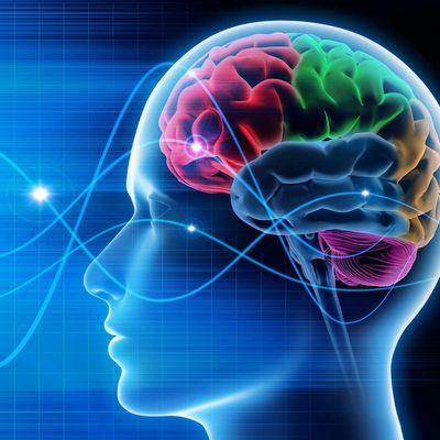 Education for Life CIC logo