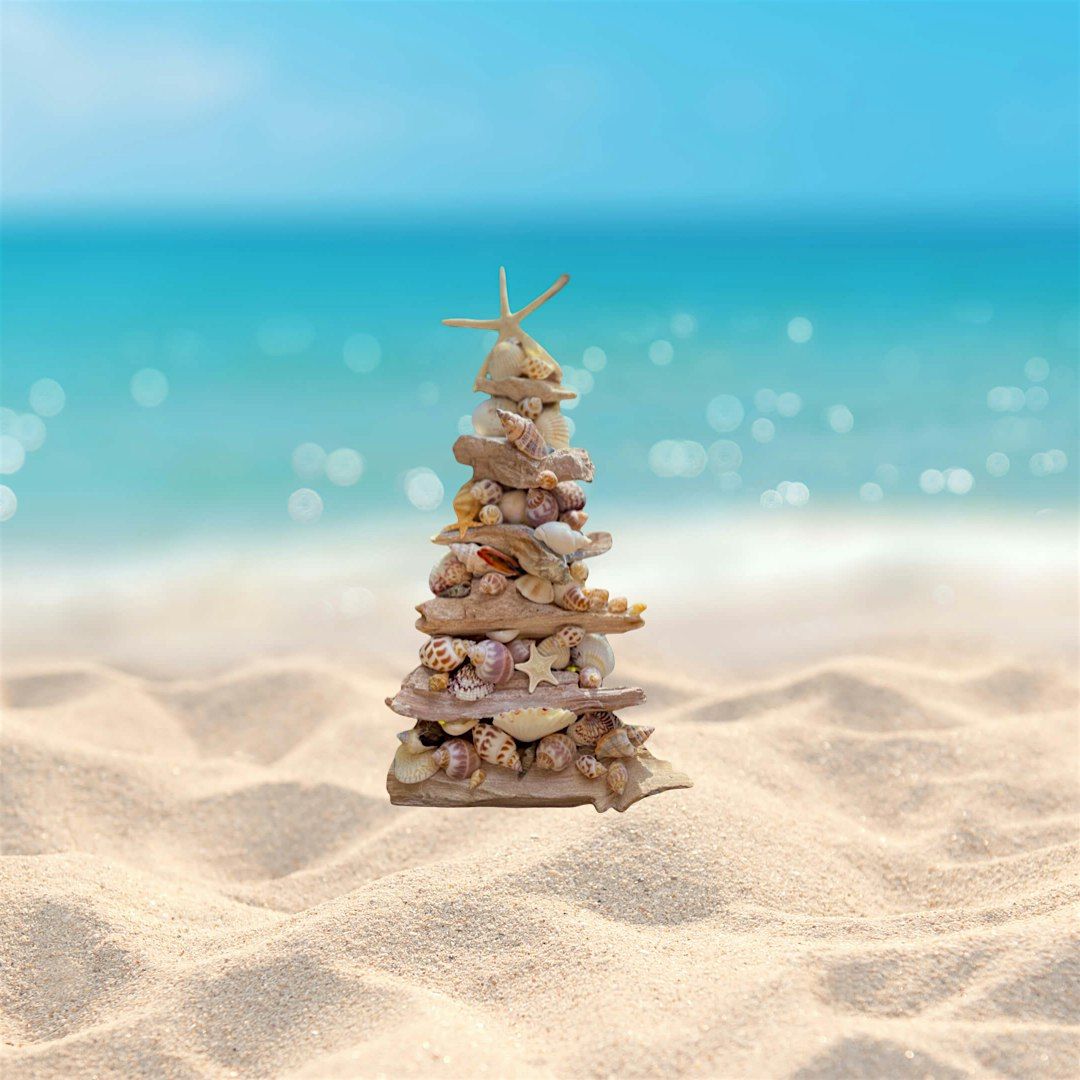 Driftwood & Seashell Tree, 6 December | Event in Kinsale | AllEvents