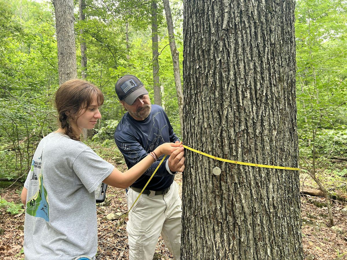Winter Lecture Series - Old-Growth Forests, 4 February | Event in Broad Run | AllEvents