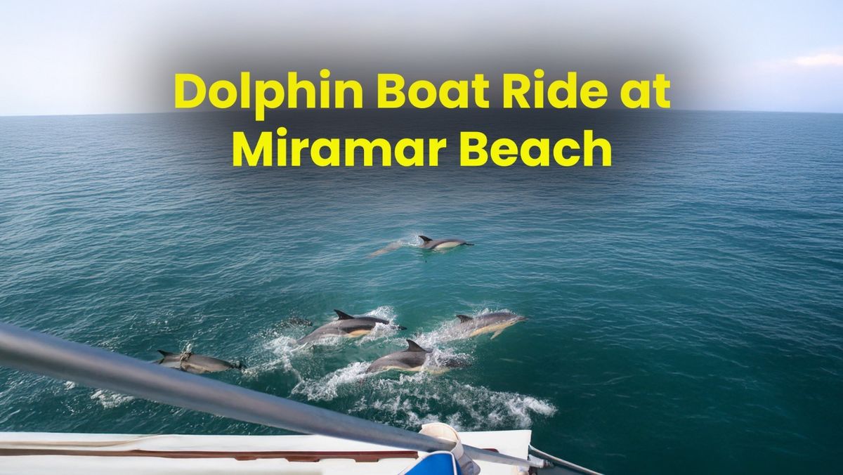 Dolphin Boat Ride at Miramar Beach | Event in Panaji | AllEvents