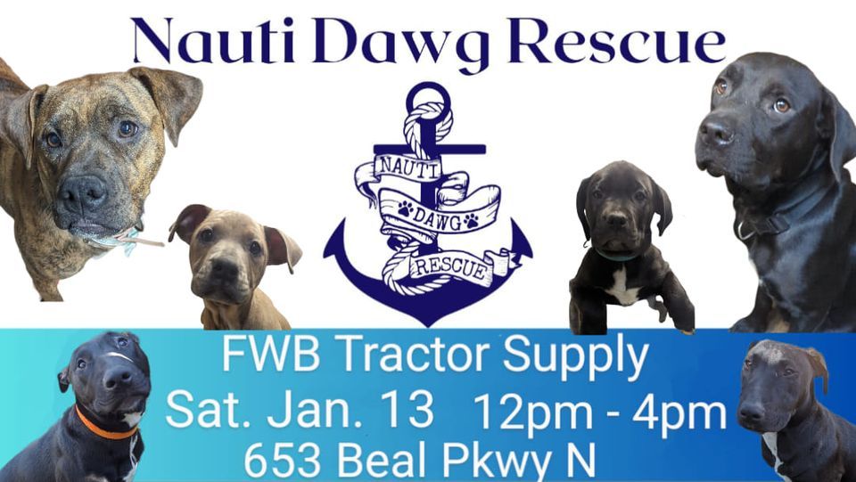 FWB Tractor Supply Nauti Dawg Rescue , Tractor Supply Co. (Fort Walton