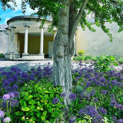 Friends of Sydney Gardens logo