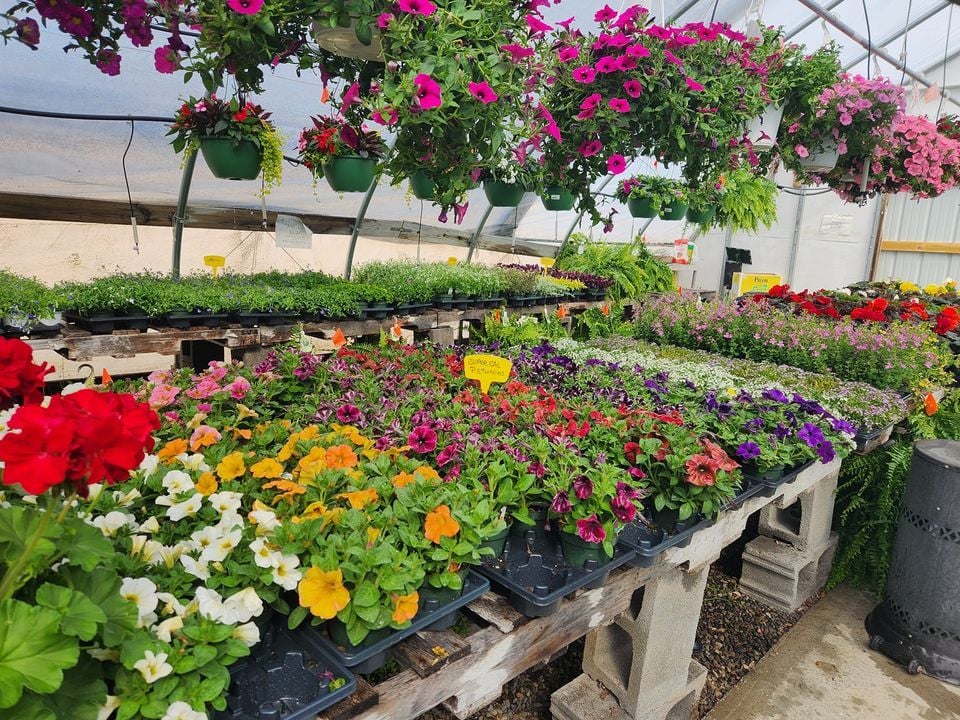 Mothers Day Weekend Hanging Basket Benefit for M.A.V.E.S, Nightingale