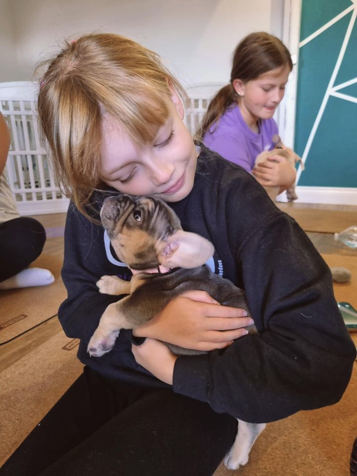 Puppy Play and Cuddle class , Hempstead House Hotel and Spa ...