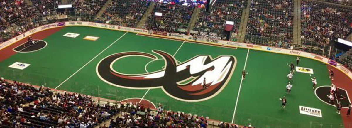 Parking Colorado Mammoth at Halifax Thunderbirds, 16 January | Event in Halifax | AllEvents