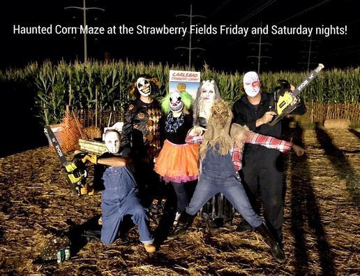 View Carlsbad Haunted Corn Maze 2020 Pics