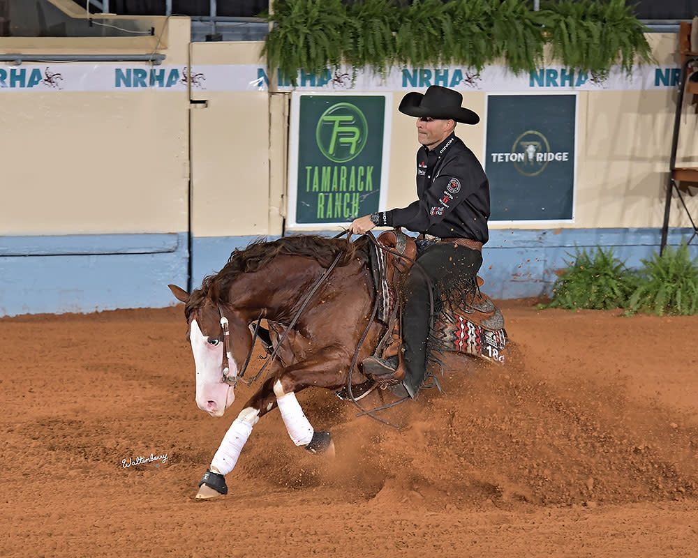 NRHA Reining Horse Futurity Equestrian at OKC Fairgrounds | Event in Oklahoma City | AllEvents