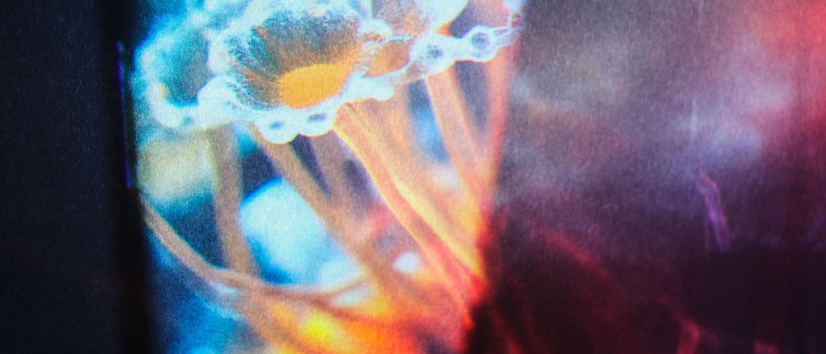 Joris Voorn in Barcelona, 13 June | Event in L'Hospitalet de Llobregat | AllEvents