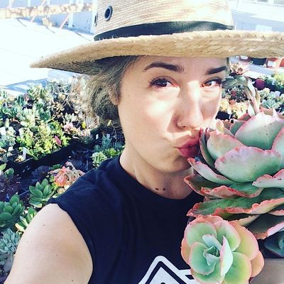 WestWind Succulents