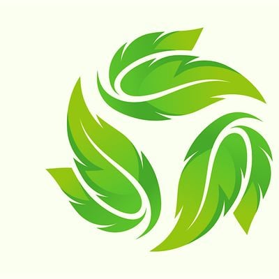 Sounds Of Evergreen