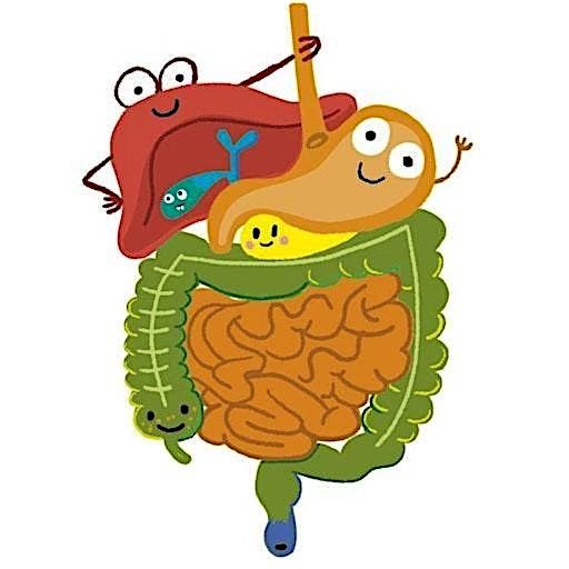 Voices in GI 2026, 18 April | Event in Urbana | AllEvents