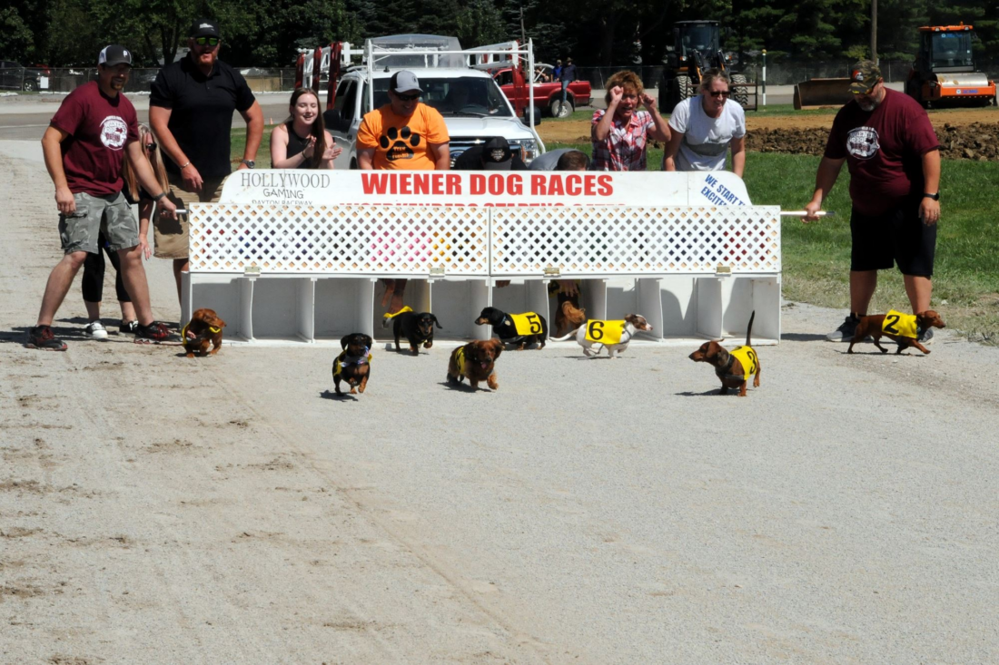 Fair Grounds - Wiener Dog Races, 28 February | Event in New Orleans | AllEvents