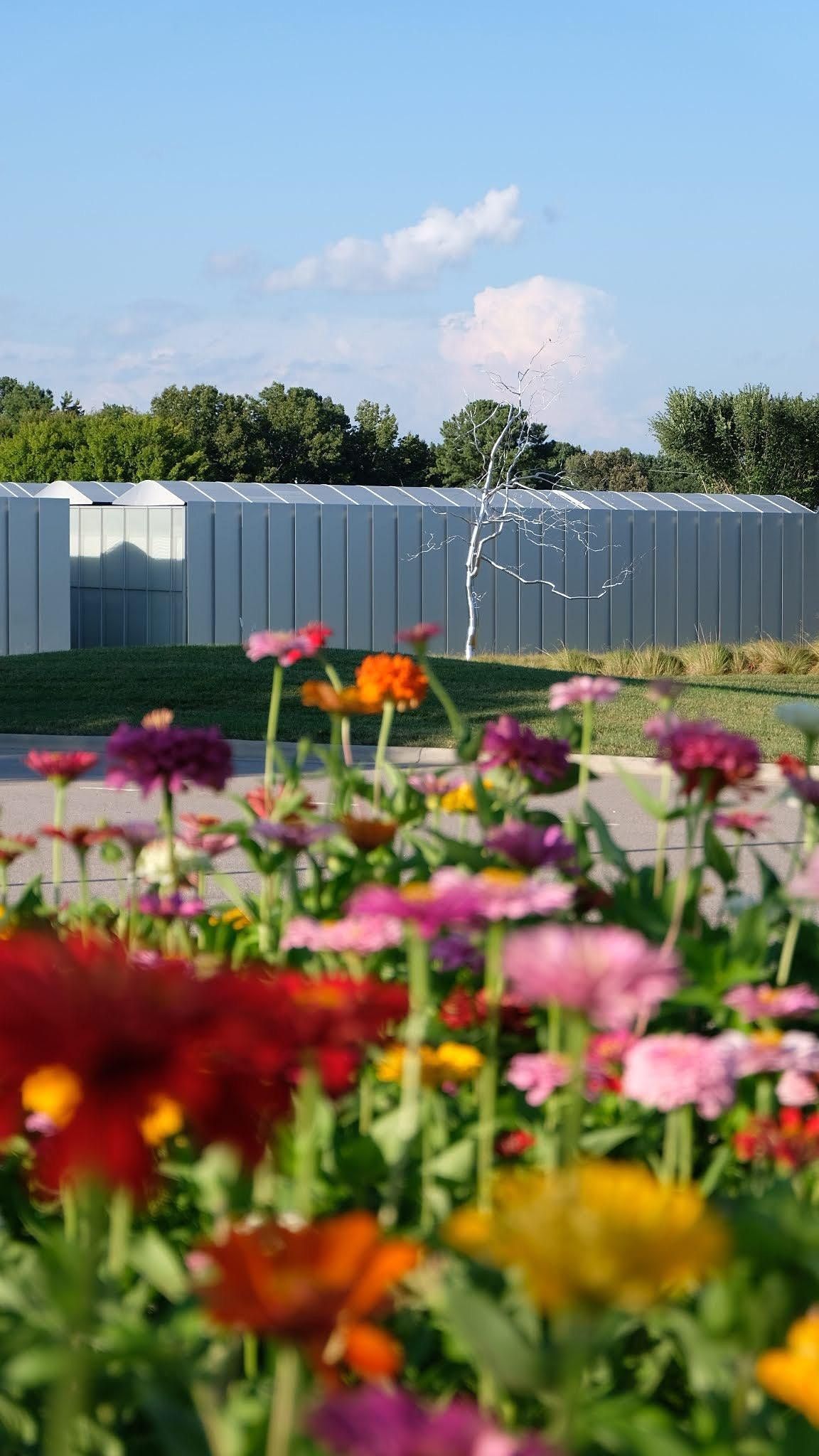 Market At Nc Art Museum North Carolina Museum Of Art Raleigh December 4 2021 Allevents In Holiday Celebration 2022, North Carolina Museum Of Art, January 10