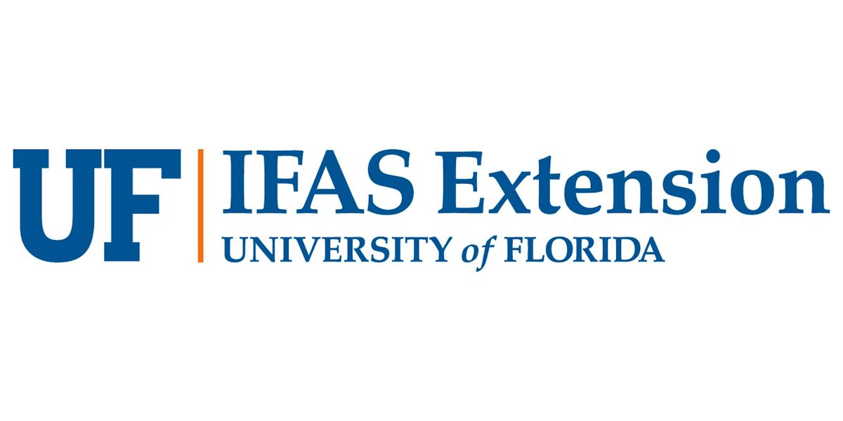 Growing Potatoes in North Florida