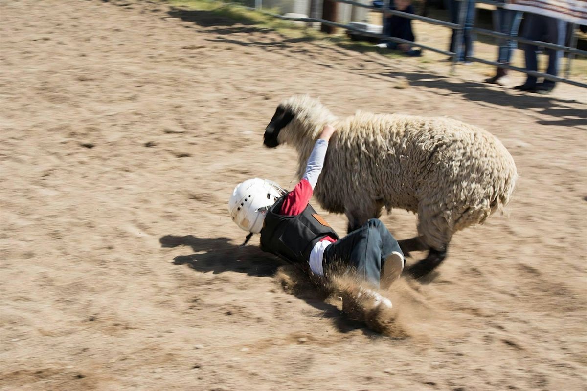 Park County Fair Mutton Bustin-Before Ranch Rodeo, Fairgrounds ...