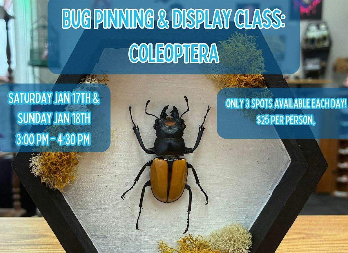 Bug Pinning & Display Class: Coleoptera - January 2026, 17 January | Event in Beaver Dam | AllEvents