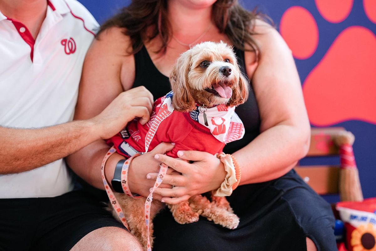 PUP | Event in Calgary | AllEvents