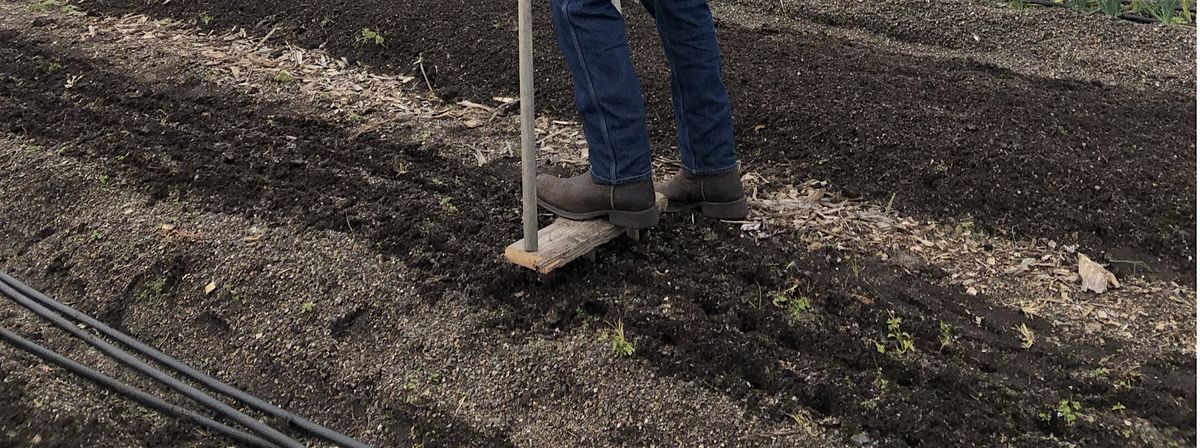 Winter Garden Planning Community Workshop, 11 January | Event in Queens | AllEvents