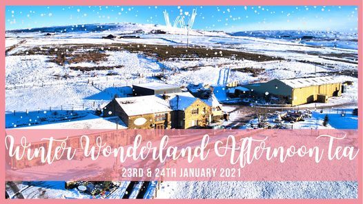 Fsuz7vgoyb Edm https allevents in bolton winter wonderland afternoon tea and meet the llamas 200020495534413