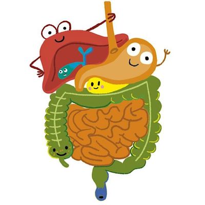 Central Ilinois SGNA Region #19 logo