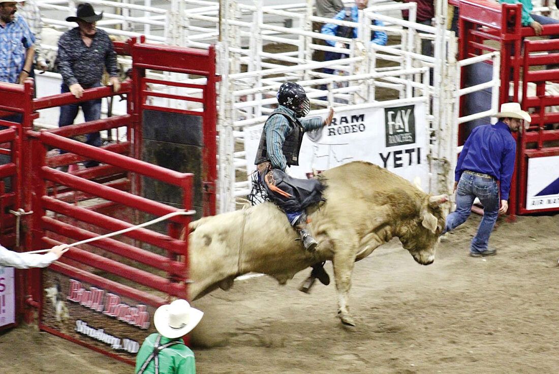 Bull Riding Challenge & Ranch Bronc Riding, All Seasons Arena At North ...