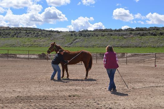 Fab Horsemanship 3 Day Clinic At Tickets Finden