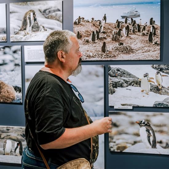 Exposición interactiva sobre Antártida por Sergei Potetiunin | Event in Blanes | AllEvents