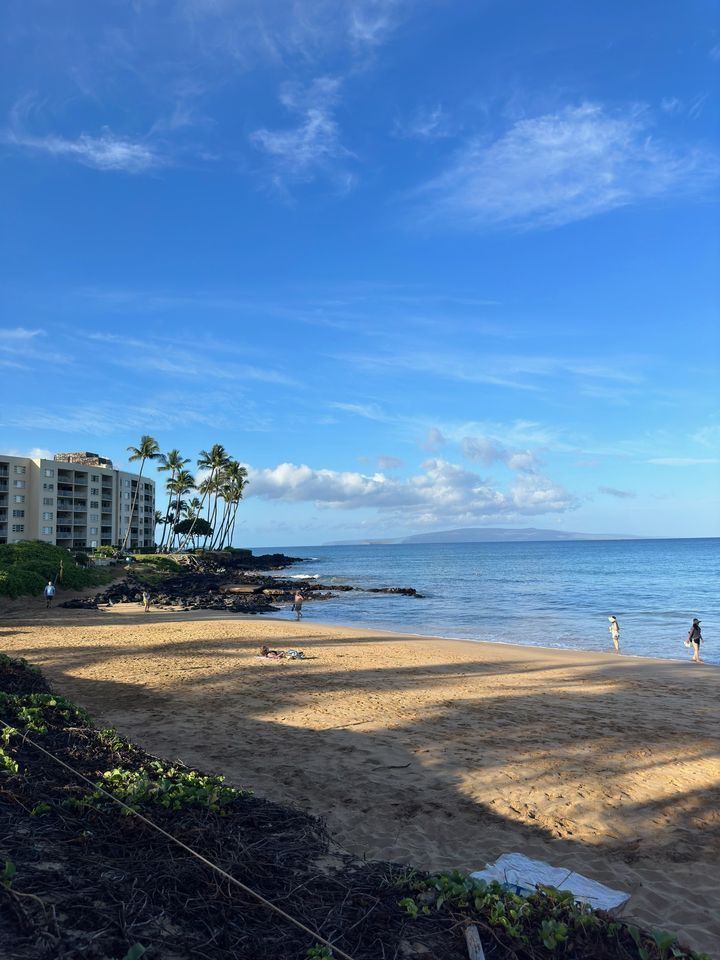 Annual Cranberry Blossom Festival in Wisconsin Rapids, WI. , Cranberry
