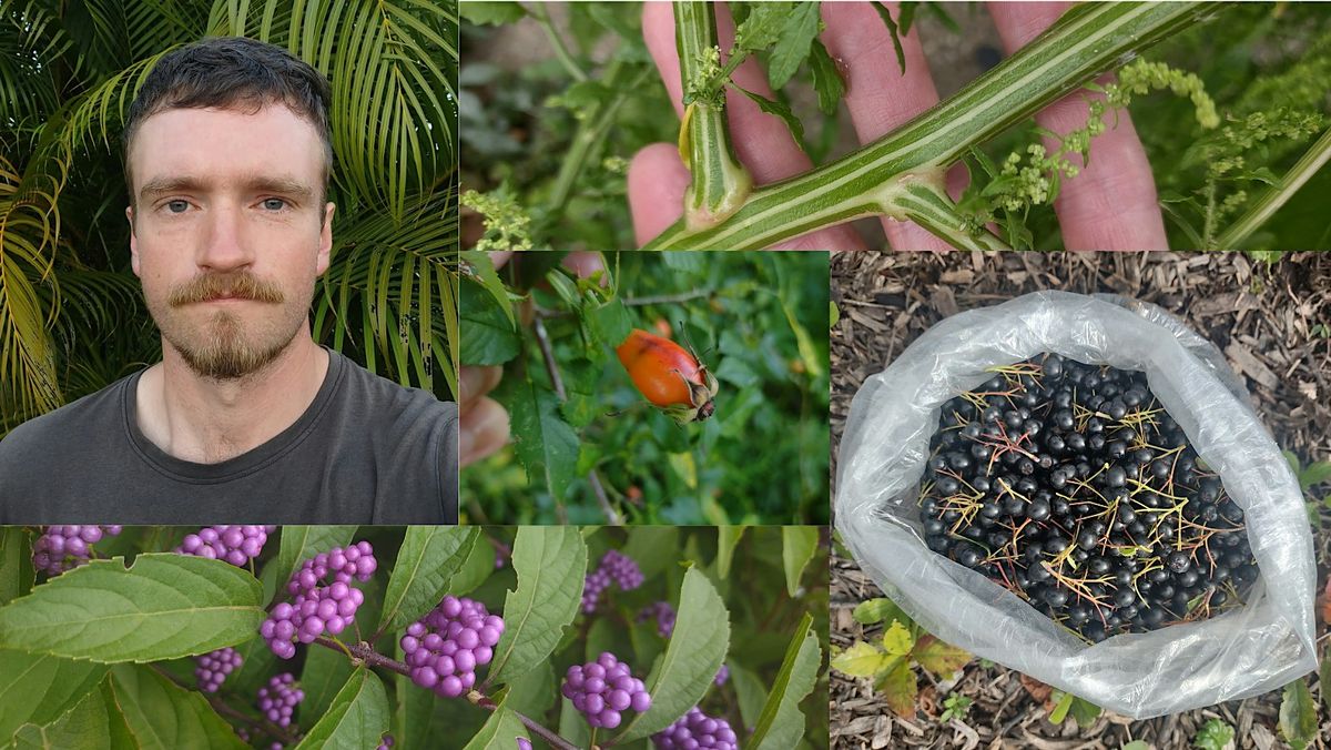 Hyde Park Foraging Walk in Chicago – October 18, 2026 | AllEvents
